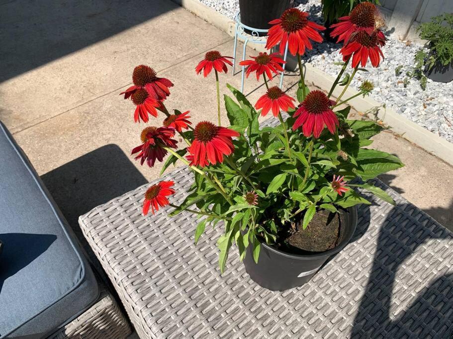 Apartamento 3 Bedroom Duplex W Large Backyard Nova York